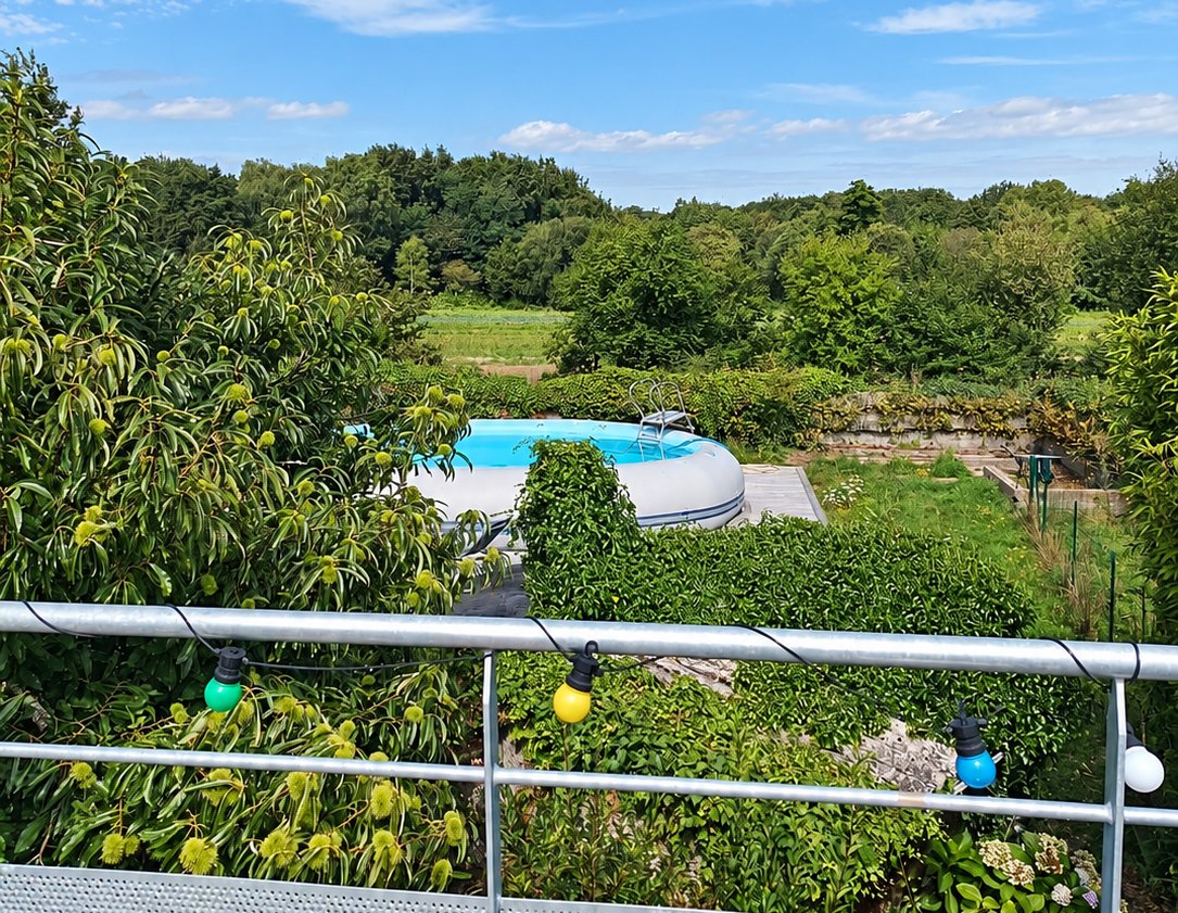 Le jardin partagé et la piscine